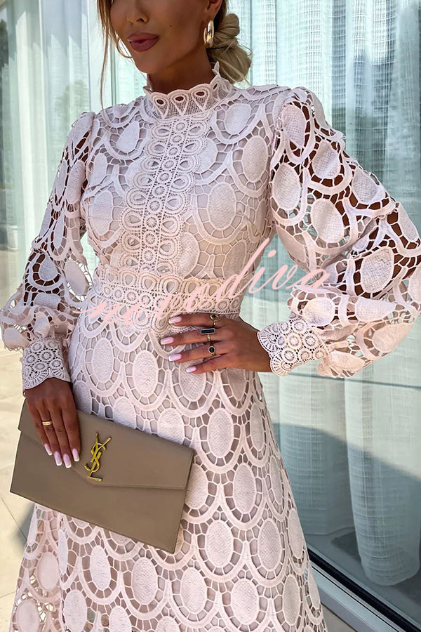 Fien | Elegant Long Sleeve See-Through Maxi Dress